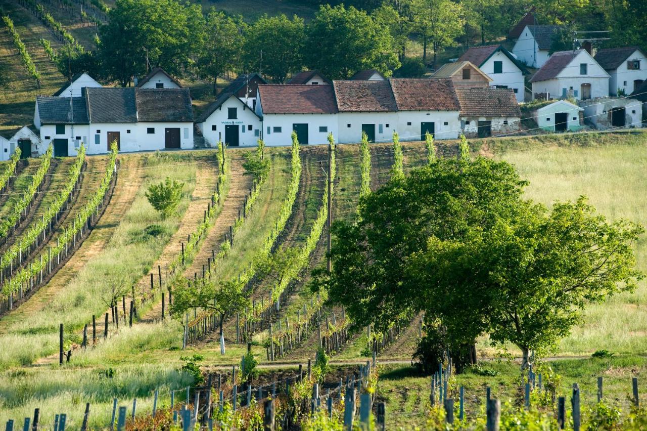 Weinhotel Rieder Poysdorf Exterior photo